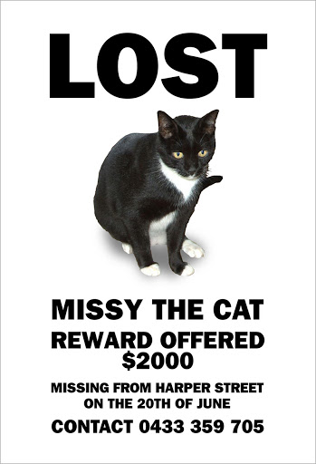 Missing cat deals