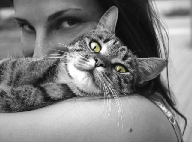 separation anxiety in cats. How to help